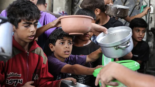 UN World Food Programme cuts food aid for 500,000 people in Gaza due to funding shortfall