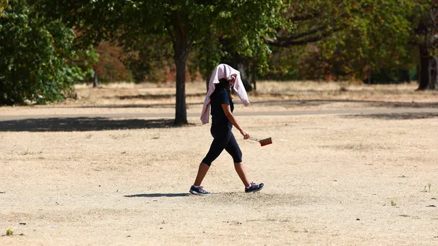 UK faces health alerts as temperatures soar to 36C