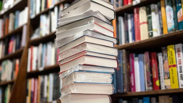 Publisher withdraws book depicting romance between Ukrainian civilian and Russian soldier amid criticism