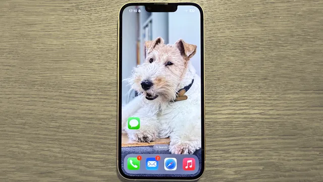 Apple readies iPhone 17e launch with familiar pricing structure