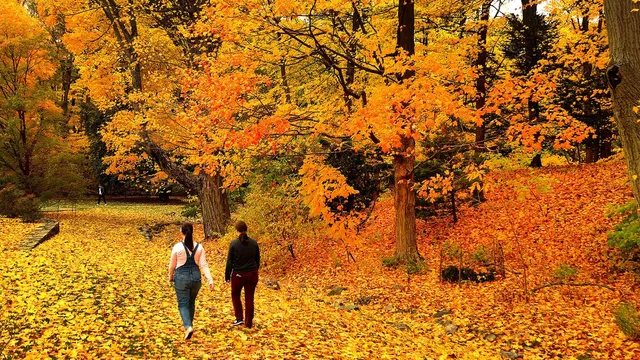 New England expects longer fall foliage season this year