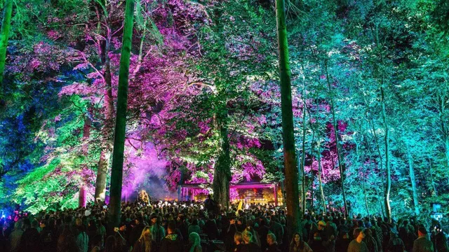 Houghton Festival Shines Under Norfolk Sunlight