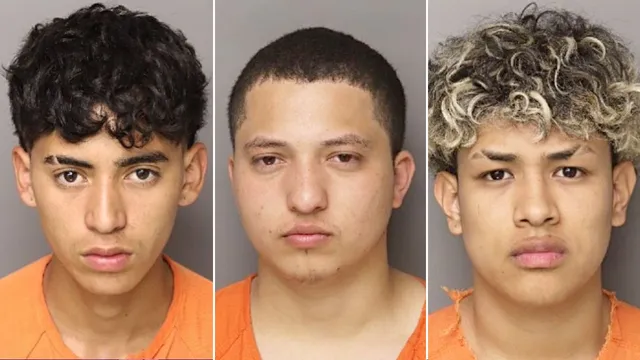 Illegal immigrants charged after South Carolina mother is murdered