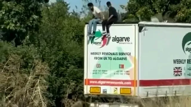 Four illegal migrants escape lorry in Essex