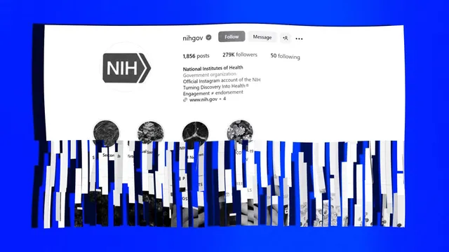 Court Rules NIH Can't Delete Animal Testing Comments