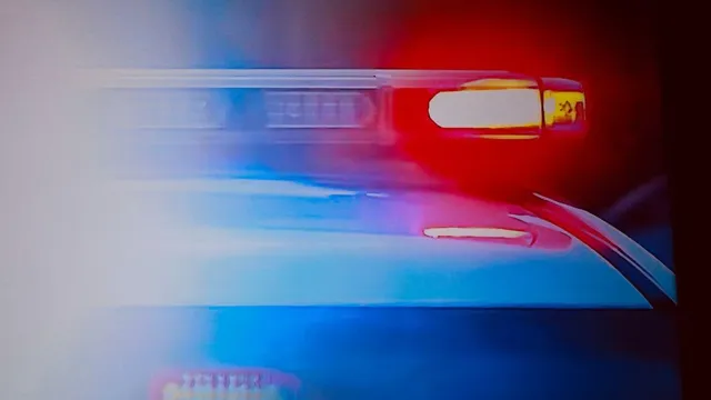 Father and son drown in tragic Lake Michigan rescue attempt