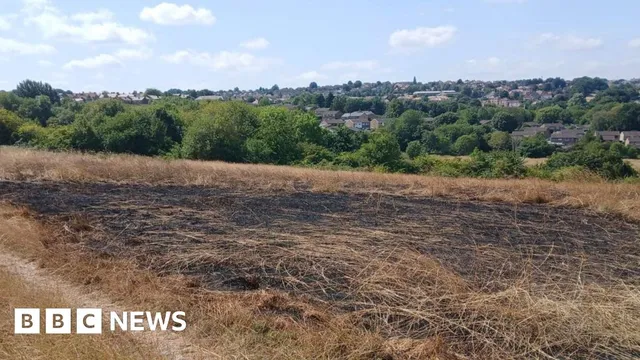Deliberate fires devastate Sheffield nature reserve and threaten wildlife