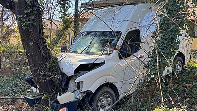 ICE agents shoot van driver who allegedly tried to run them over