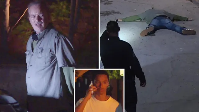 Man and dog arrested for trespassing at Nia Long's home