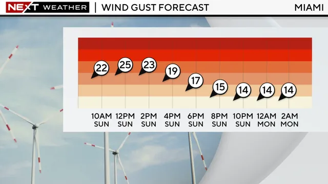 Strong winds and showers batter South Florida today