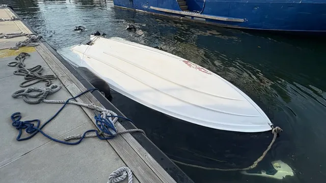 Captain faces charges after boat capsizes, killing woman and infant