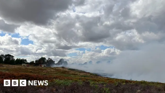 Fifteen fire crews battle large wildfire at Cannock Chase
