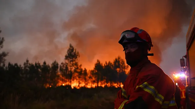 France orders mass evacuations as wildfires threaten coastal areas