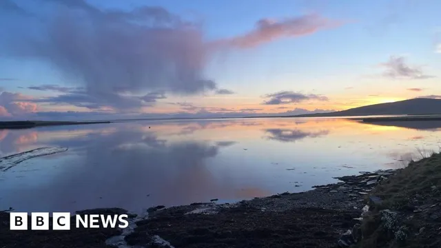 Massive oyster restoration project set to revive marine life in Orkney