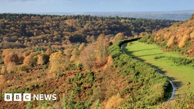Hindhead Tunnel opens and transforms landscape into thriving wildlife habitat