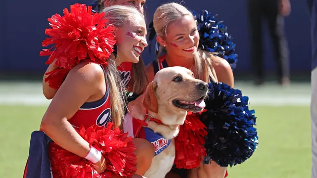 Lane Kiffin's dog controversy raises questions about ownership and motives