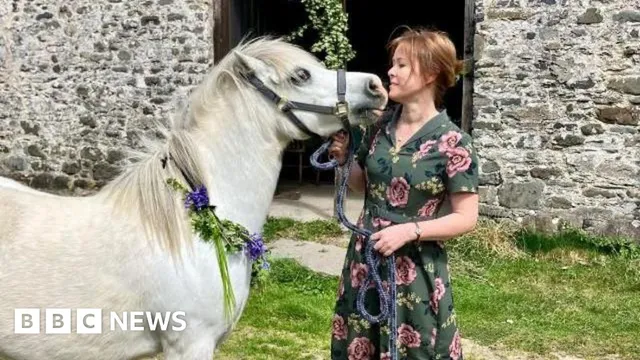 Pony power project warns bracken fires could cause Parkinson's and dementia