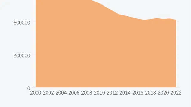 CDC reveals both progress and setbacks in abortion access after Roe v. Wade overturn
