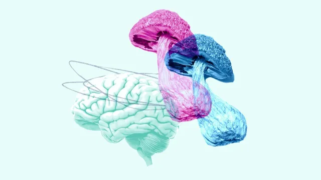 New Zealand approves psilocybin to treat depression