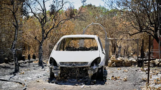 France suffers over 7,300 excess deaths during record heatwaves