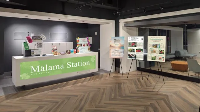 Hawaii Launches Mālama Station to Boost Regenerative Tourism