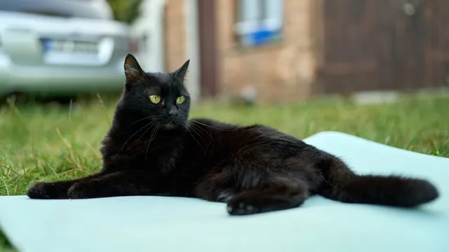 Alan Carr buys Ayton Castle in Scotland