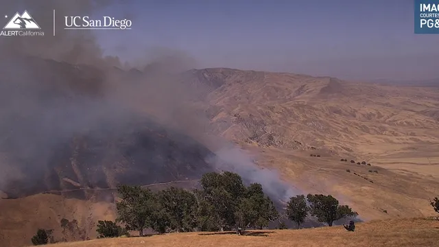 Buzzard Fire burns 180 acres near I-5 in Kern County
