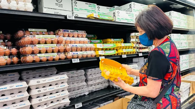 Bird flu outbreak affects over 7 million birds in Pennsylvania