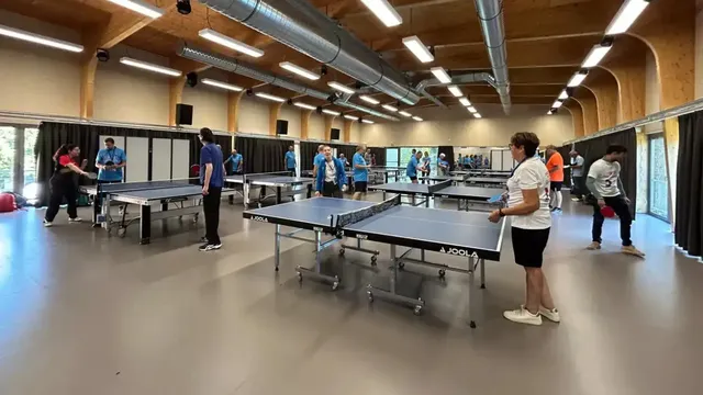 Leuven hosts 2024 Transplantoux Games with 500 athletes
