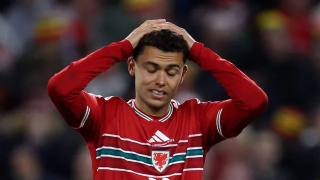 Wales suffers heartbreaking penalty shootout loss to Bosnia