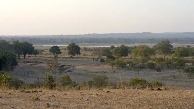 Two tourists killed after elephant attack in Zambian national park