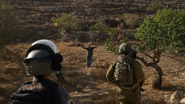 Violence escalates as Israeli settlers attack West Bank residents during harvest