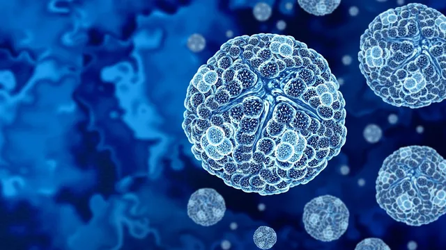 CDC warns about chikungunya outbreak in the Seychelles