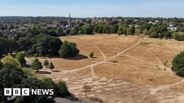 London's Royal Parks mow grass short to stop wildfires spreading