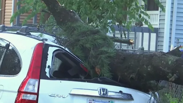 Springfield mayor suspects microburst caused severe storm damage