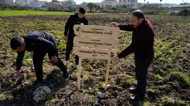 Palestinians honor Jimmy Carter by planting olive grove in the West Bank
