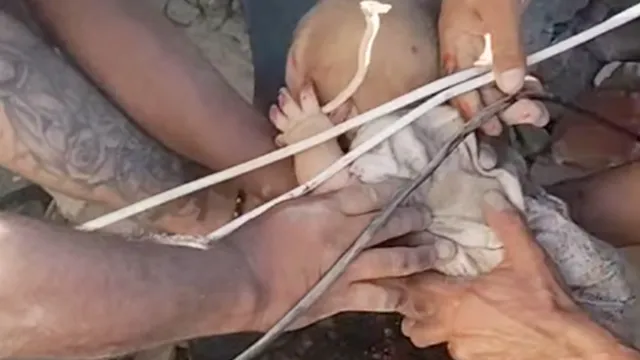 Heroic rescue of baby from rubble after Colombia earthquake