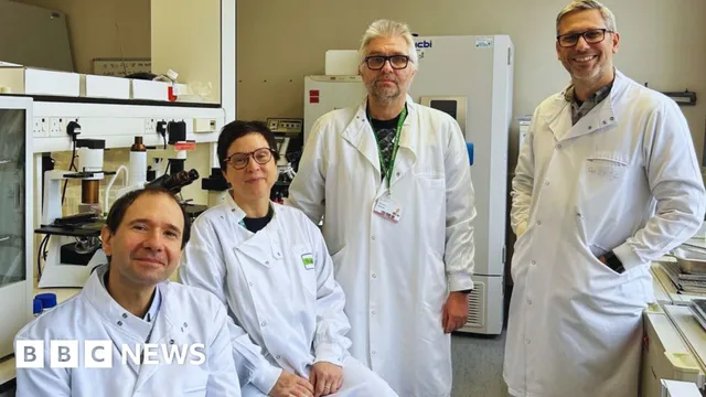 University of Essex develops new blood test for early detection of bowel cancer