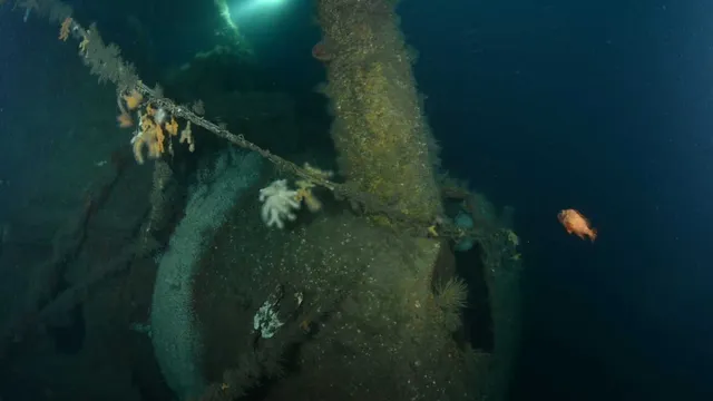 Explorers Discover Wreckage of HMS Hawke, Sunk in WWI