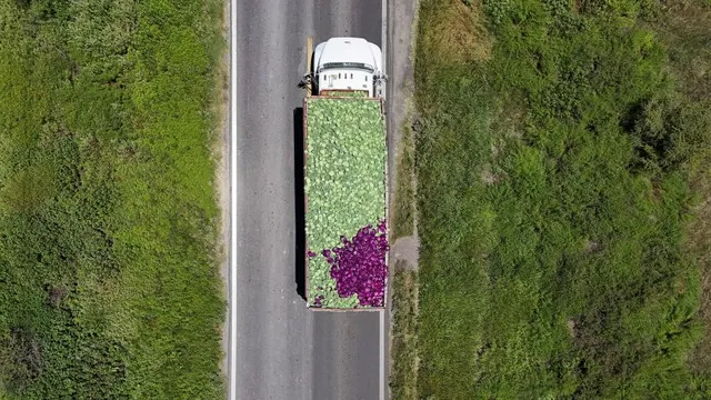 Taylor Farms faces scrutiny over repeated food safety outbreaks