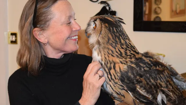 Frieda Hughes makes frantic vet dash to save her pet owl