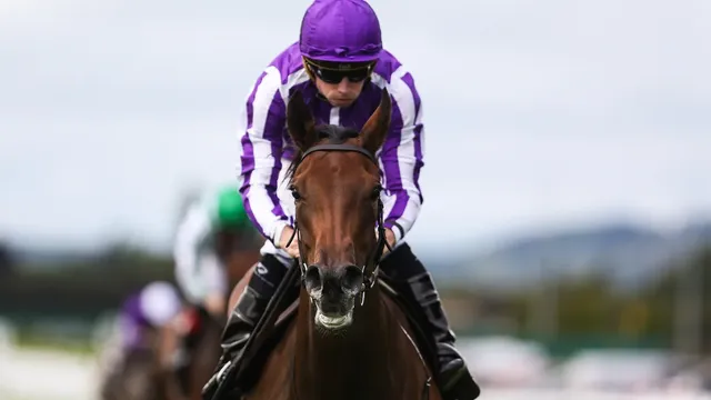 Lizzana tipped as each-way bet for Newmarket race on Friday