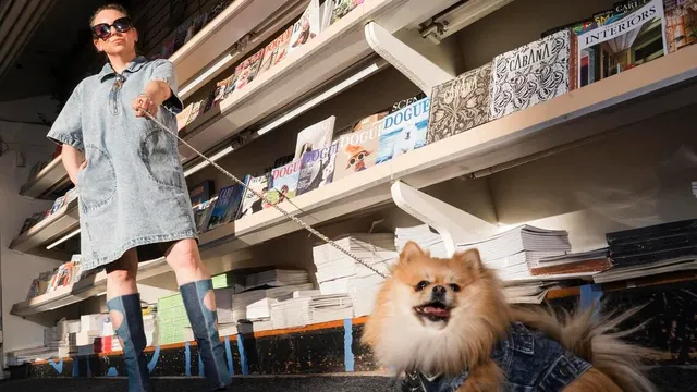 Reddit loses trademark battle to Reddio in Singapore