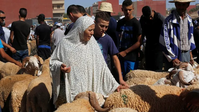 King urges Moroccans to skip sheep sacrifice this Eid al-Adha