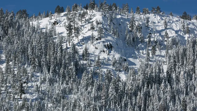 Nine skiers missing after avalanche in Sierra Nevada