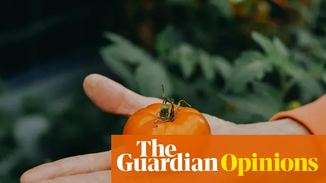 Gardening becomes a struggle as climate crisis impacts Britain