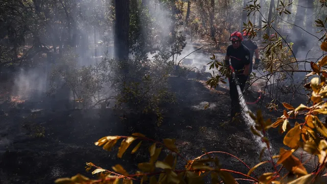 France and Spain face worsening wildfires as heatwave approaches