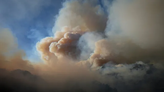 Wildfire smoke pollution linked to over 24,000 deaths annually in the US