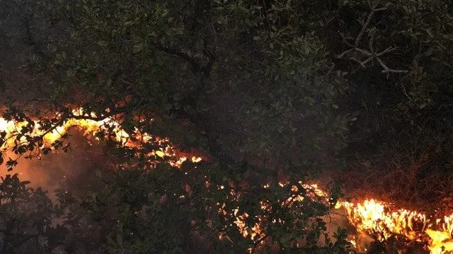 Amazon Fires Cause Smoke Crisis in Argentina and Uruguay