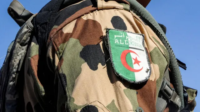 Algeria approves sending troops to Niger in first foreign deployment since 1973